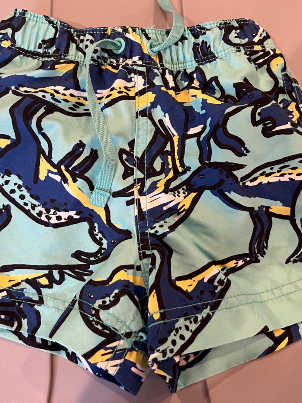 Hanna Andersson bathing suit boys size 2t